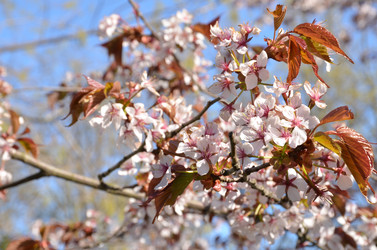 Similar image 22135372