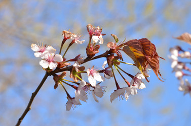 Similar image 22135373