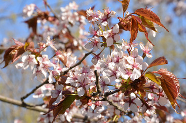 Similar image 22137556