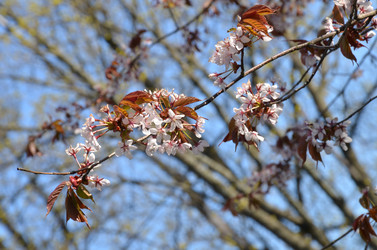 Similar image 22137557