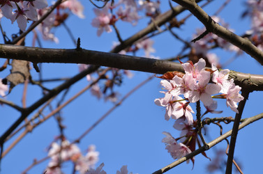 Similar image 22135374