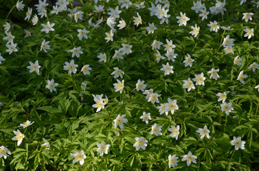 Similar image 22137558