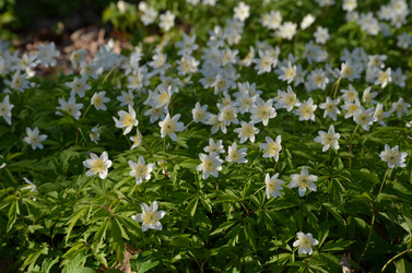 Similar image 22137559