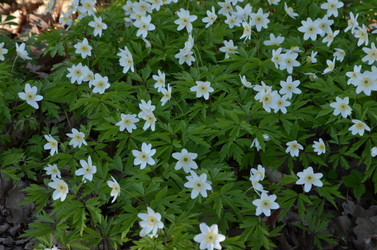 Similar image 22137560