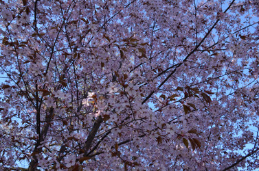 Similar image 22135375