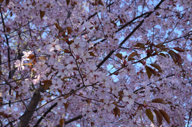 Similar image 22135376