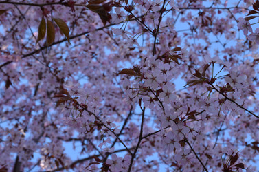 Similar image 22135377