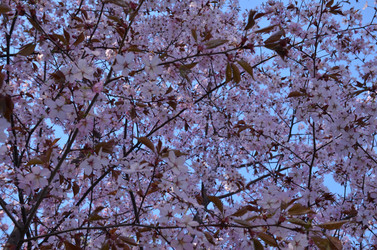 Similar image 22135378