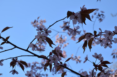 Similar image 22135379