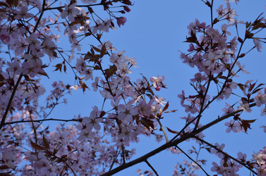 Similar image 22135380