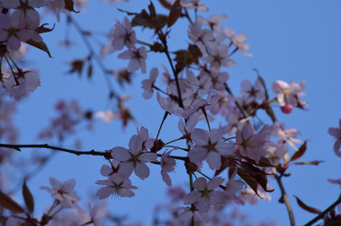 Similar image 22135381