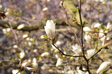 Similar image 22137561