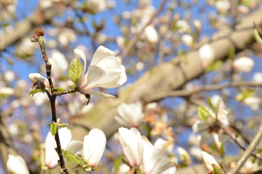 Similar image 22137562