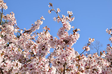 Similar image 22135382