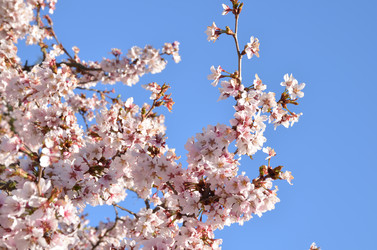 Similar image 22135383