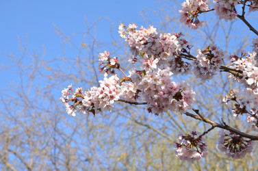 Similar image 22135385