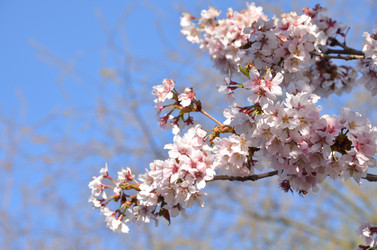 Similar image 22135387