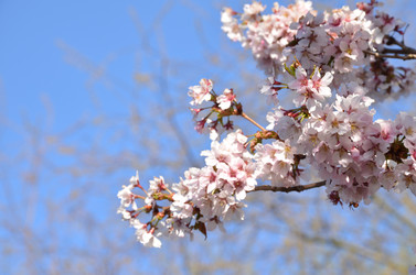 Similar image 22135388