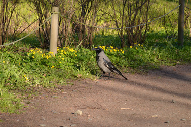 Similar image 22137563