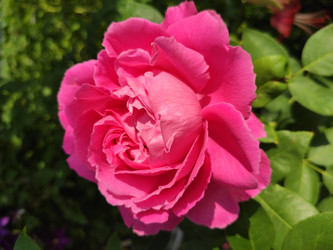 Similar image 22137569