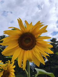 Similar image 22137570