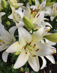 Similar image 22137571