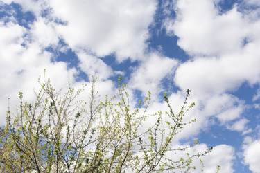 Similar image 22135858