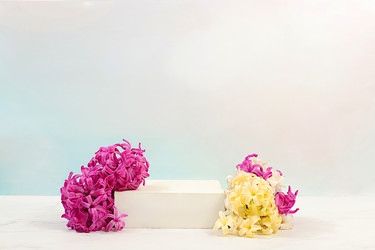 Similar image 22135866