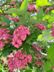 Similar image 22137573