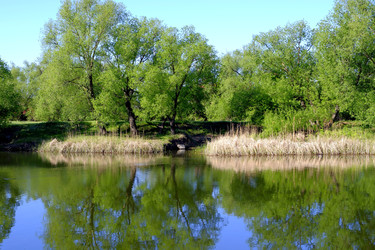 Similar image 22144009