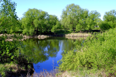 Similar image 22144010