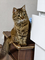 Similar image 22137574