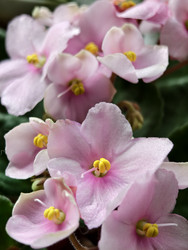 Similar image 22137575