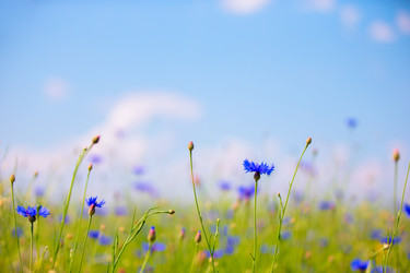 Similar image 22139057