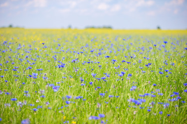 Similar image 22139058