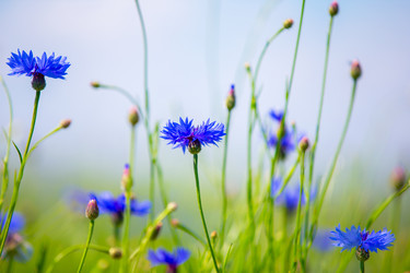 Similar image 22139060