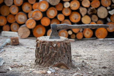 Similar image 22139069