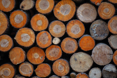 Similar image 22139072