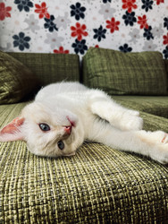 Similar image 22138810