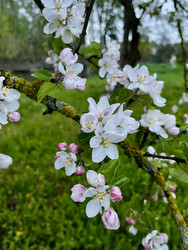 Similar image 22138813