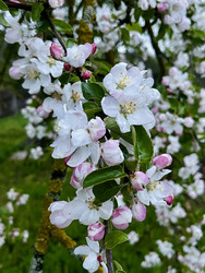 Similar image 22138814