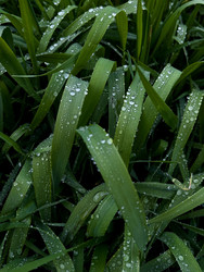 Similar image 22138815