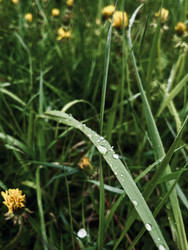 Similar image 22138816