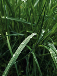 Similar image 22138817