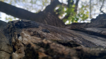 Similar image 22135368