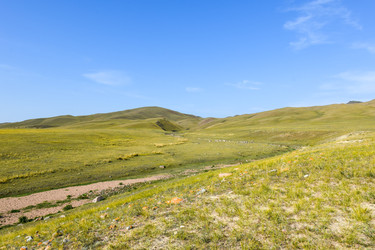 Similar image 22137582