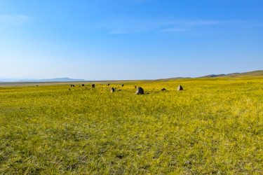 Similar image 22137585