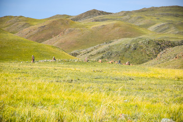 Similar image 22137595