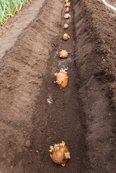 Similar image 22135406