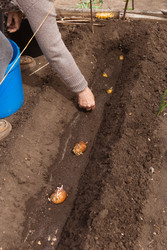 Similar image 22135407